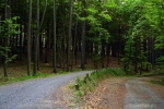 phoca_thumb_l_08-vyzlovka-priroda-jaro-leto-2006