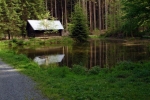 phoca_thumb_l_09-vyzlovka-priroda-jaro-leto-2006