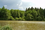 phoca_thumb_l_13-vyzlovka-priroda-jaro-leto-2004