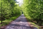 phoca_thumb_l_15-vyzlovka-priroda-jaro-leto-2004